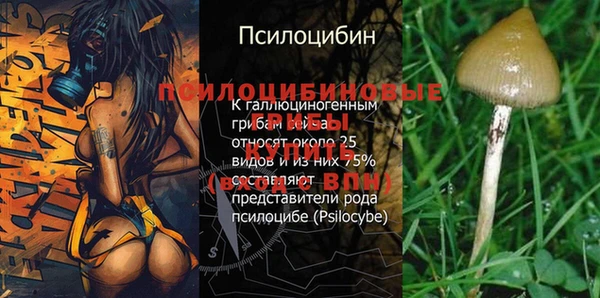 дживик Осташков