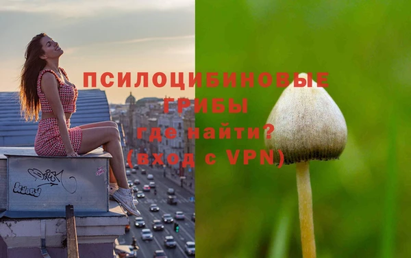 мяу мяу кристалл Осинники