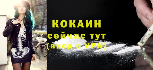 дживик Осташков