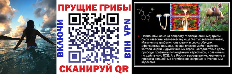 Купить где  Апатиты  Галлюциногенные грибы ЛСД 